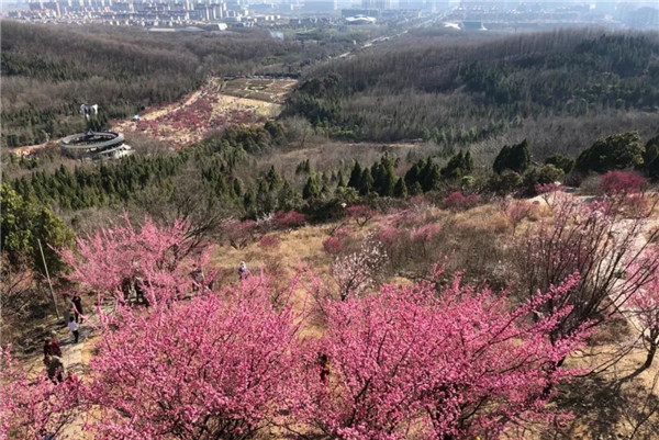 盤點(diǎn)淮南非遺之民間文學(xué)篇一：舜耕山傳奇