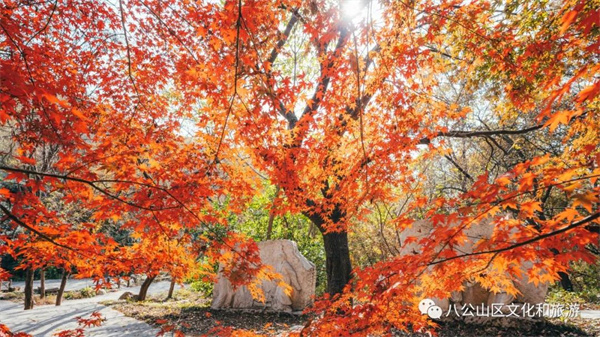 【圖說淮南】——八公山風(fēng)景區(qū)這個(gè)地方紅了！