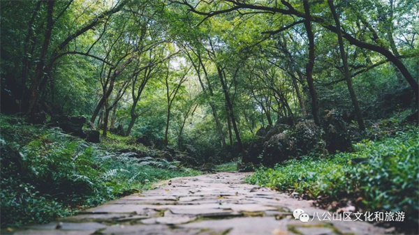 【圖說淮南】—— 早春徒步八公山，經(jīng)典路線推薦（下）