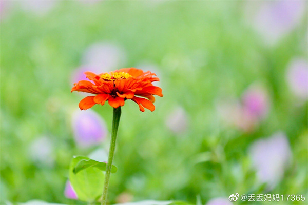 【圖說淮南】——今日芒種，愿你“芒”有所獲，“種”有所得